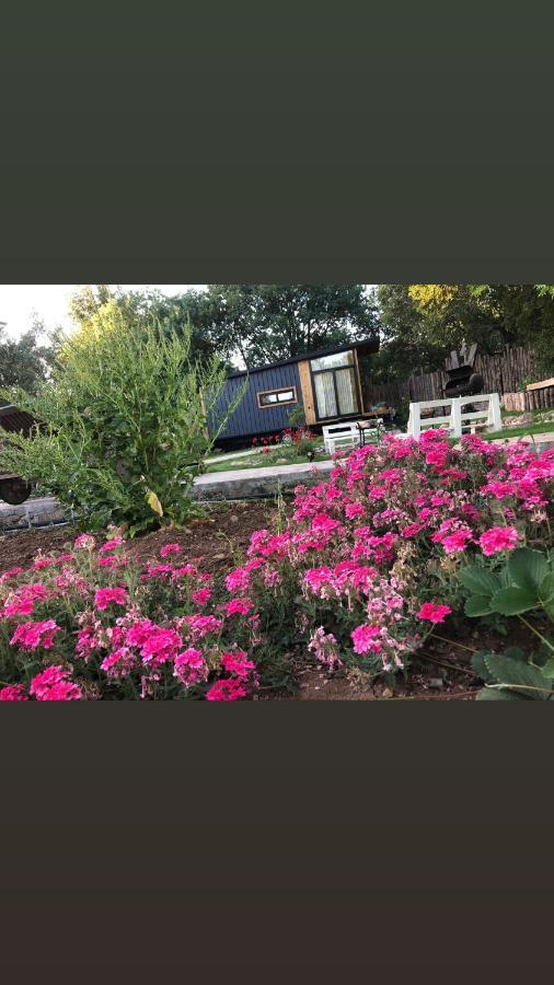 Tiny House Kayakoey Kumquat Hotel Ngoại thất bức ảnh